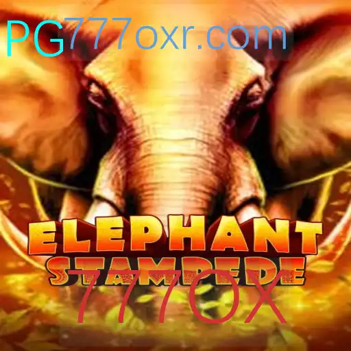 ElephantStampede: O Jogo de Estratégia e Aventura que Conquista Multidões